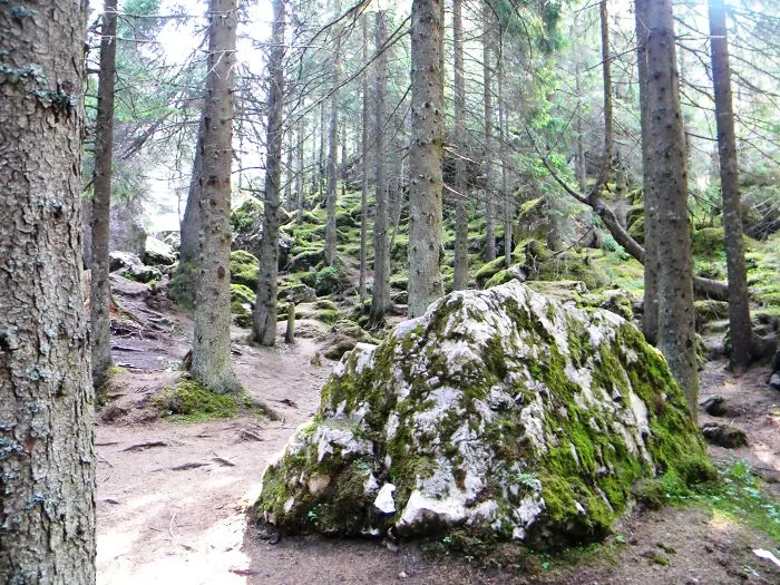 Rarau, Romania