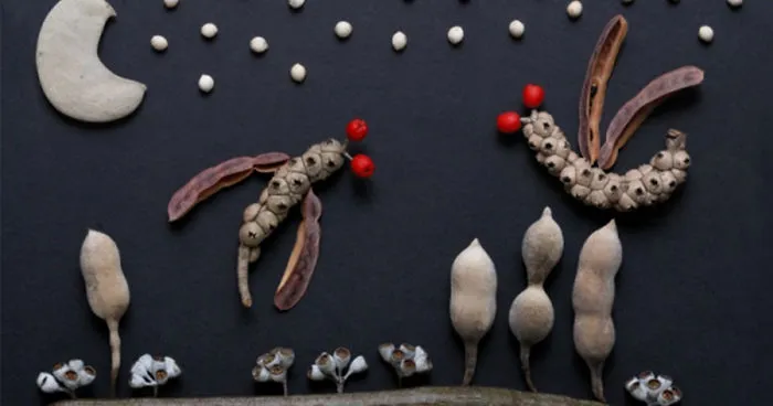 I Use Seeds to Create Faces, Insects, Flags And Abstract Pictures
