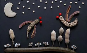 I Use Seeds to Create Faces, Insects, Flags And Abstract Pictures