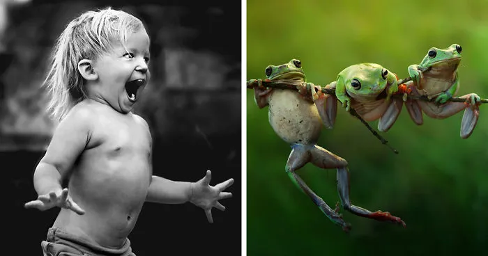 25 Of The Best Photos From The 2015 Sony World Photography Awards Shortlist