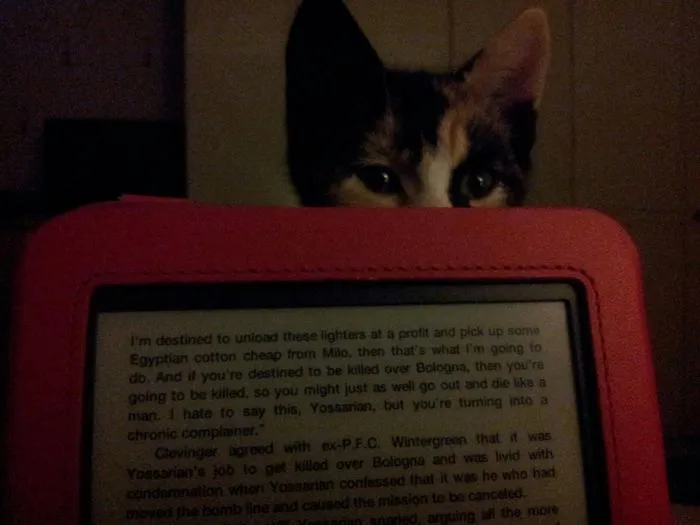 Whatcha Doing?
