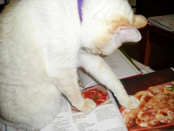 Anthony, Sous Chef.