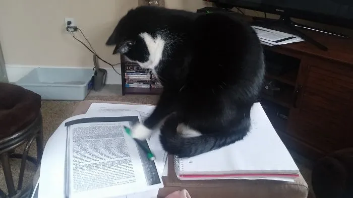 "let Me Help!"
