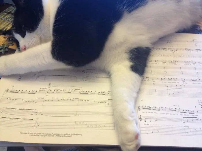Play Me A Song!