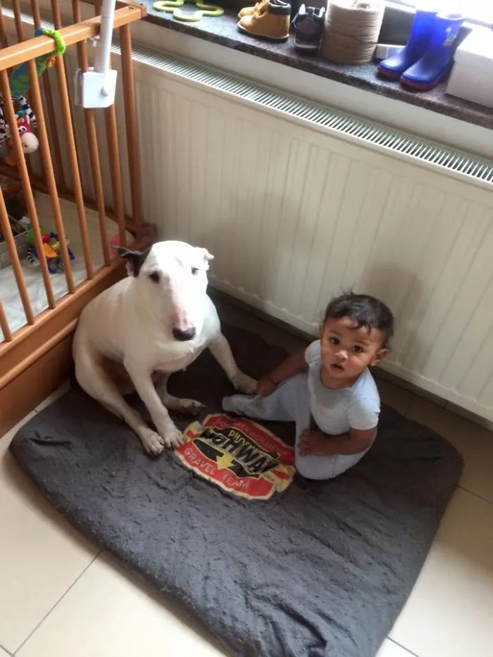 Masay And His Dog Yacko "friends Forever"
