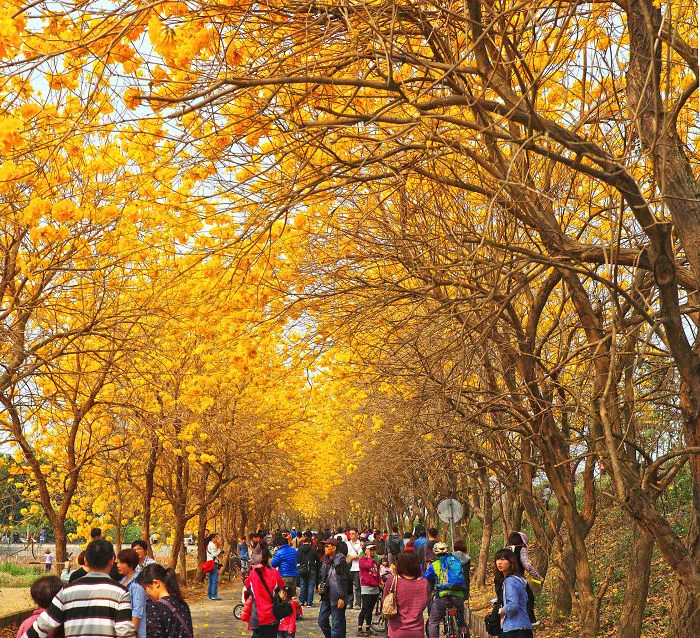 Chiayi，taiwan