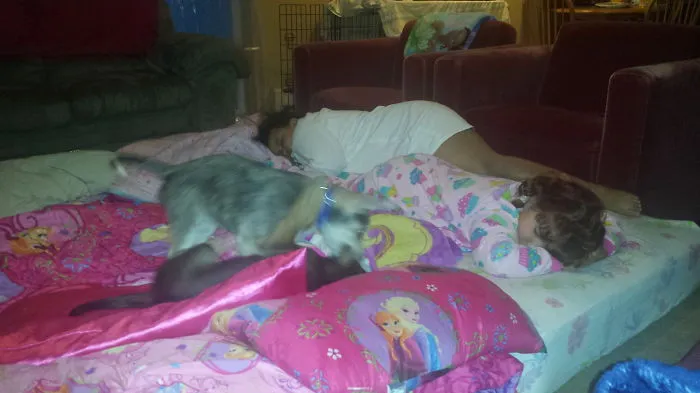 Pj Party Gone Wrong.  Who Invited The Dog's?