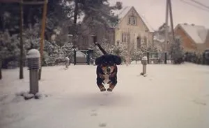 113 Photos Taken At Just The Right Moment