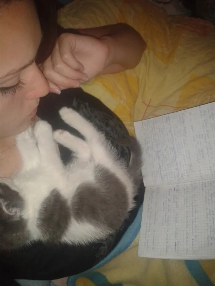 Study For Exam