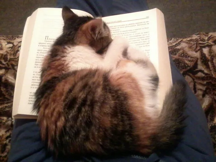 "my Favorite Place To Sleep" :d