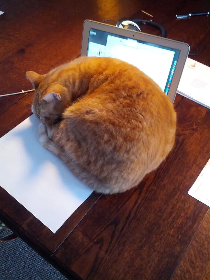 Computer? Where? I Don't See Any.