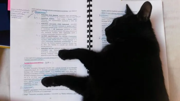 I Hope You Weren't Planning To Read This Page...
