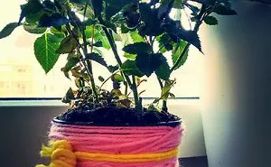 Diy Vase - A Great Living Room Decor At Low Cost!