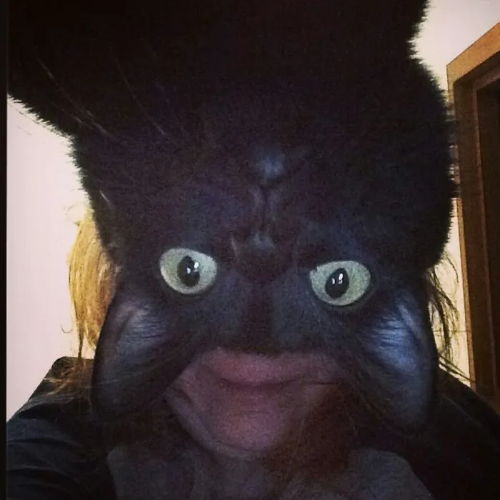 113 Photos Taken At Just The Right Moment