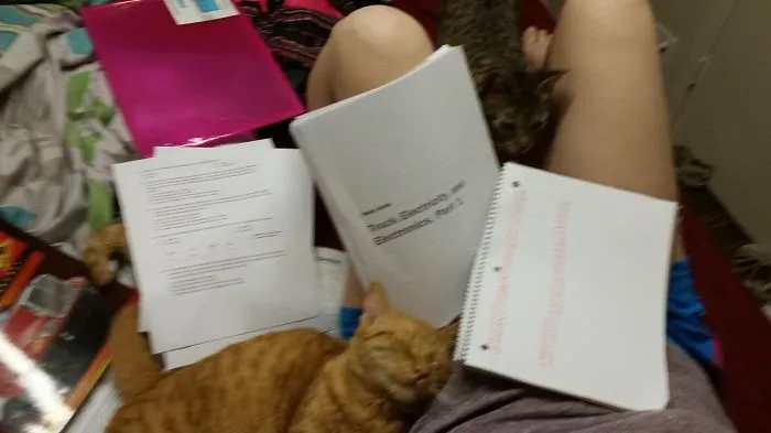 Study Time At My House