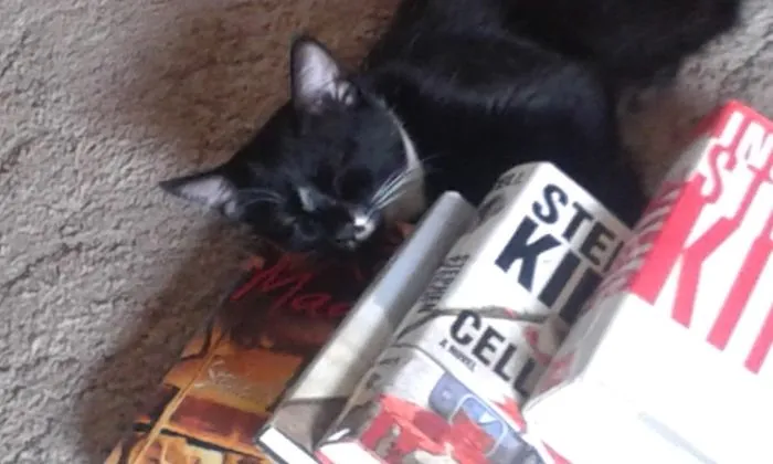 Steven King Fan.