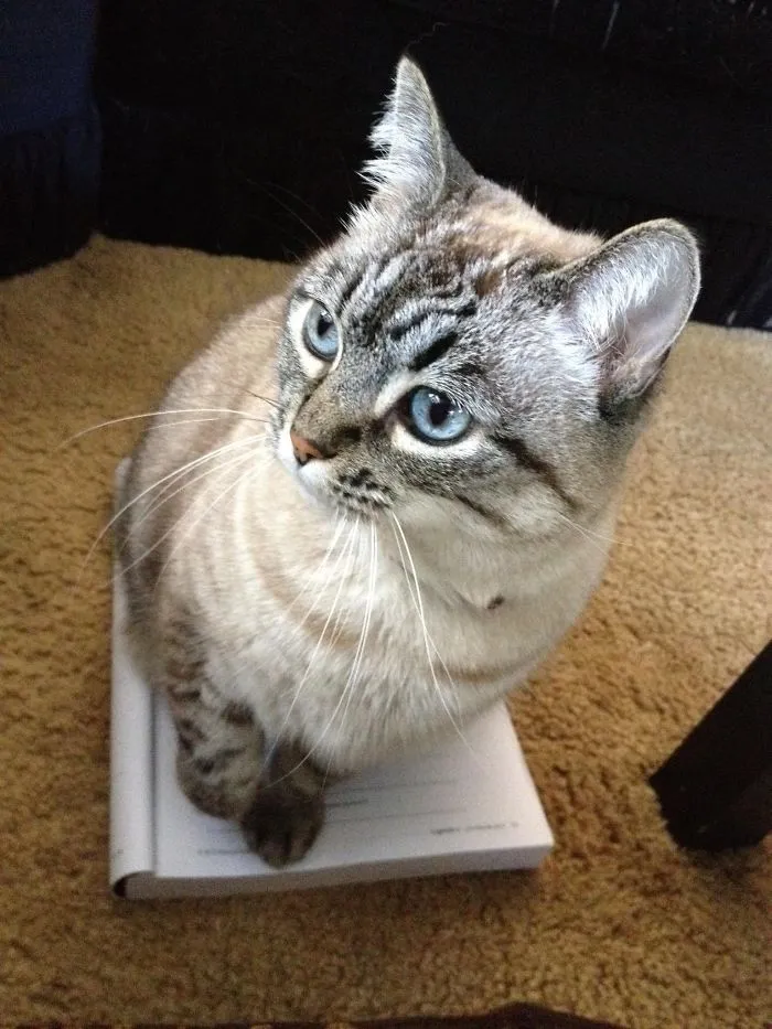 Try Reading Now :)