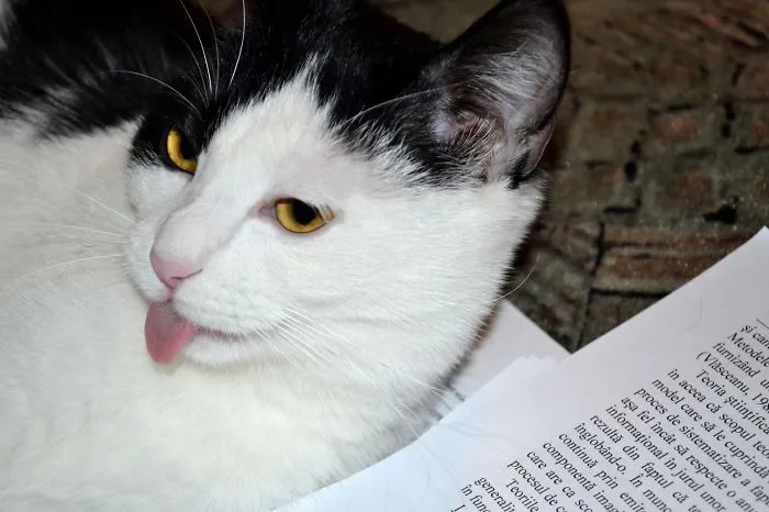 Again With The Reading?yack...