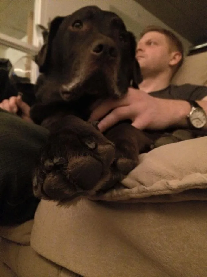 'Hot Dudes With Dogs' Instagram Brings Two Of Your Favorite Things In One Place