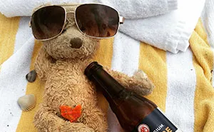 Everything Is Pawsibble: Pictures Of Bruno The Bear Travelling The World
