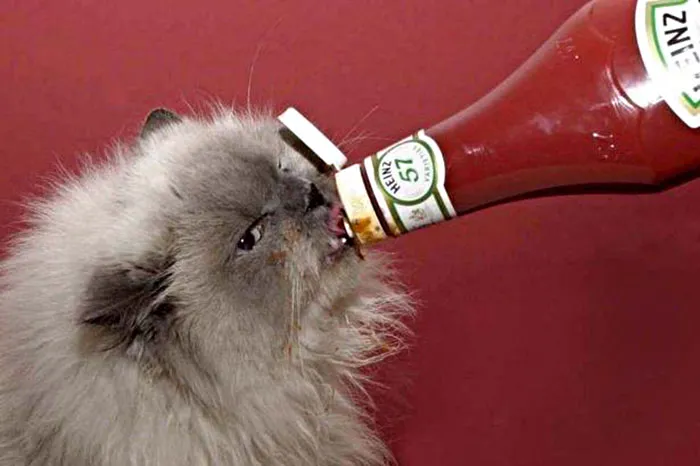Tonight We're Drinking From The Bottle!