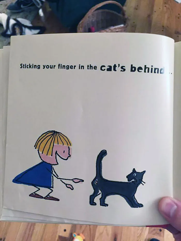 Cat's Behind