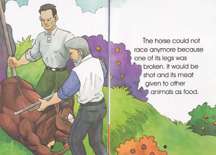 Horse Would Be Shot
