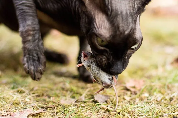 113 Photos Taken At Just The Right Moment