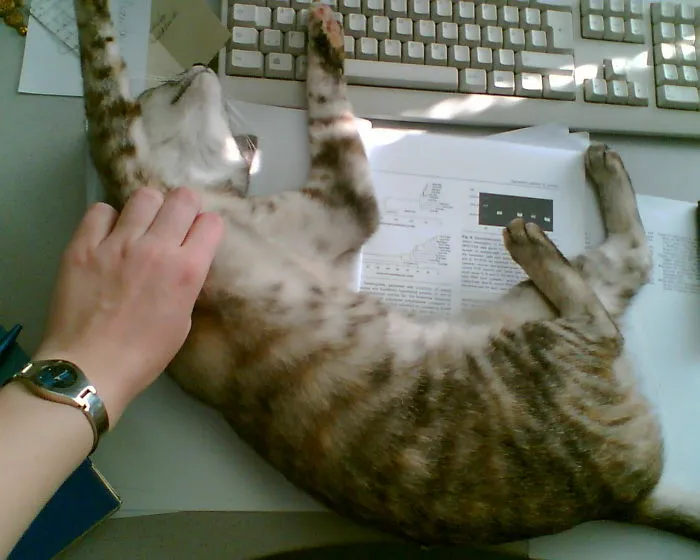 You Want To Study? No Way!!!
