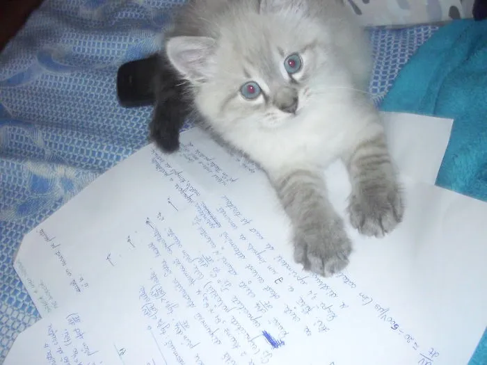 Let's Study !