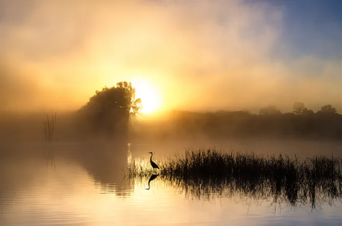 Magic Sunrise In Alentejo, Portugal