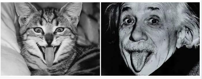 Albert