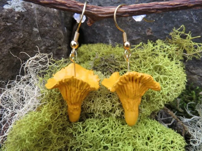 Golden Chanterelles