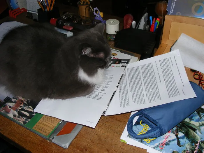 Milk And Cream Later: I Need To Read This !