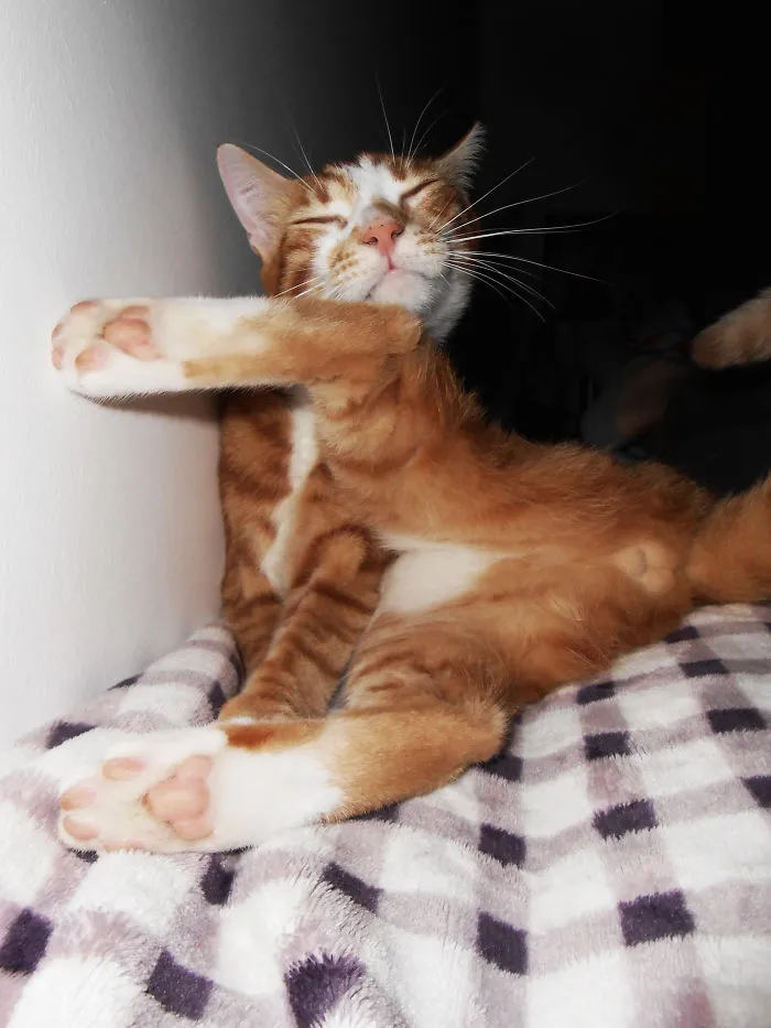 I'm So Fabulous!