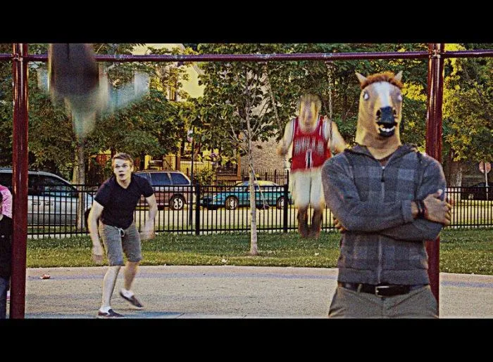 Donkey At The Park