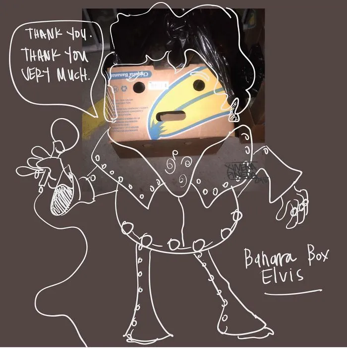 "banana Box Elvis"