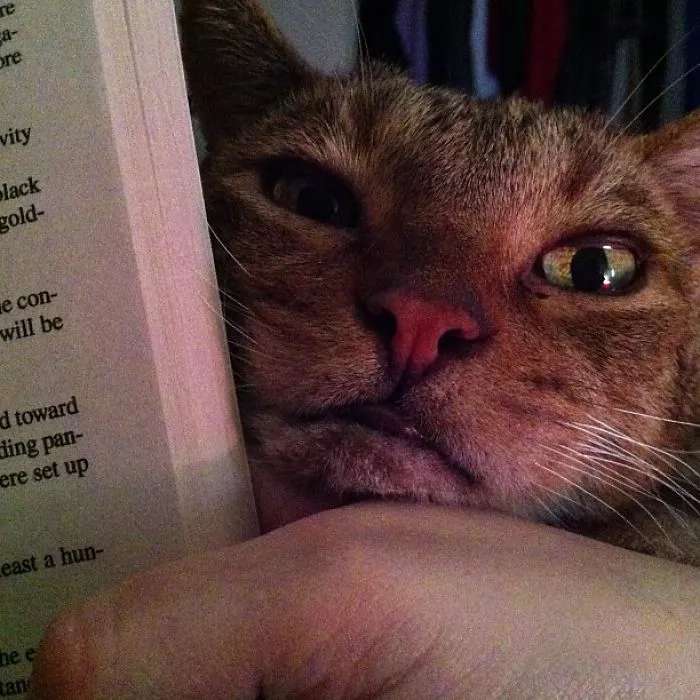Um, Hello...excuse Me.