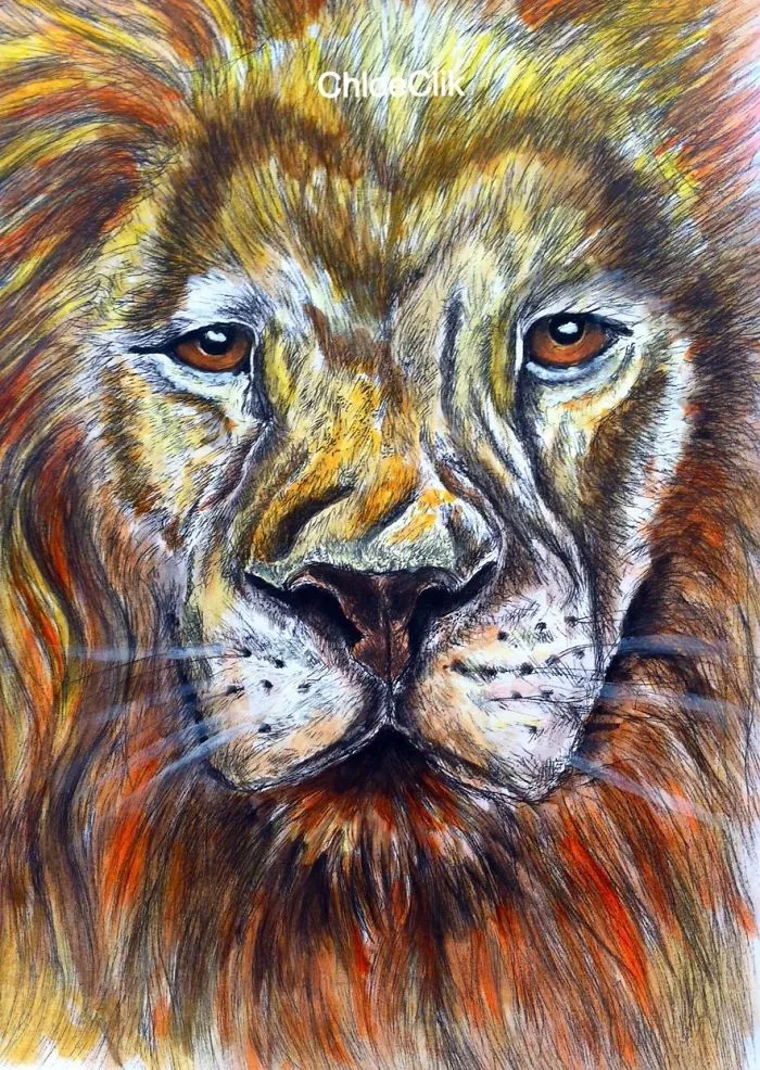 I Draw Animals In Every Material I Can Get My Hands On