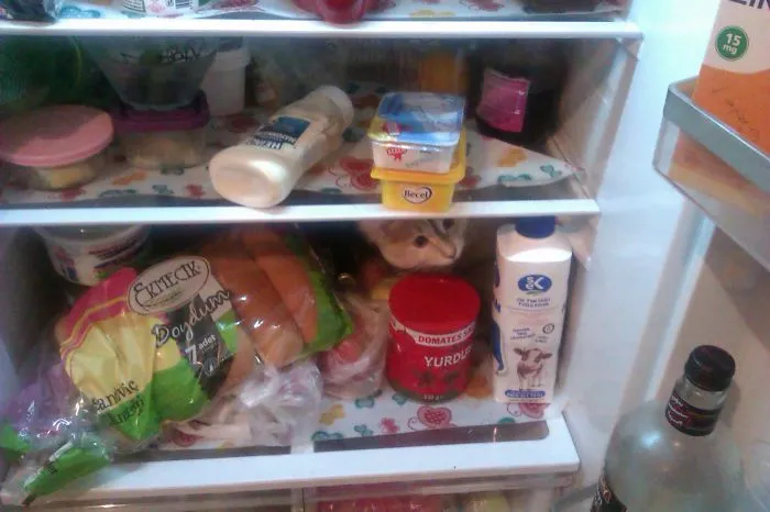 109 Camouflaged Cats That Win At Hide And Seek