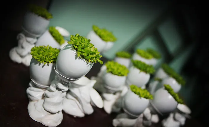 Garden With Eggs