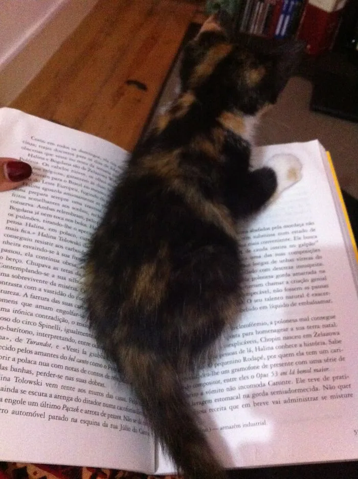 Are You Reading? Not Anymore :)