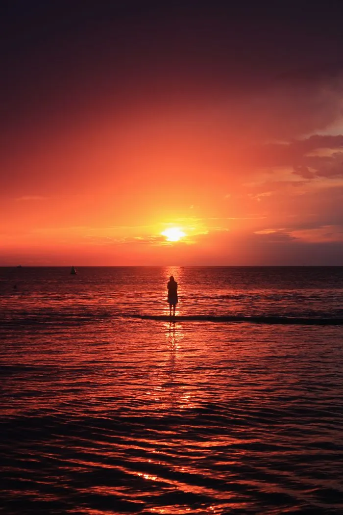 113 Photos Taken At Just The Right Moment