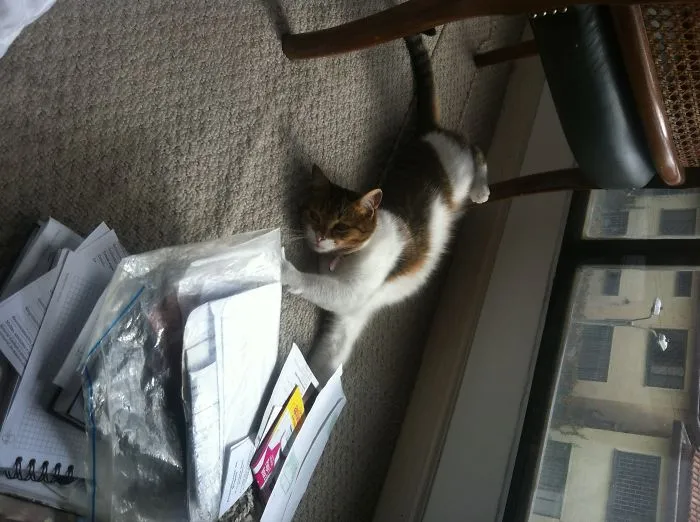 Let Me Help You Sort Out What Is Worth To Read... Actually Nothing Worth!