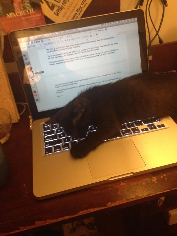 Seriously? ...and He's Asleep.