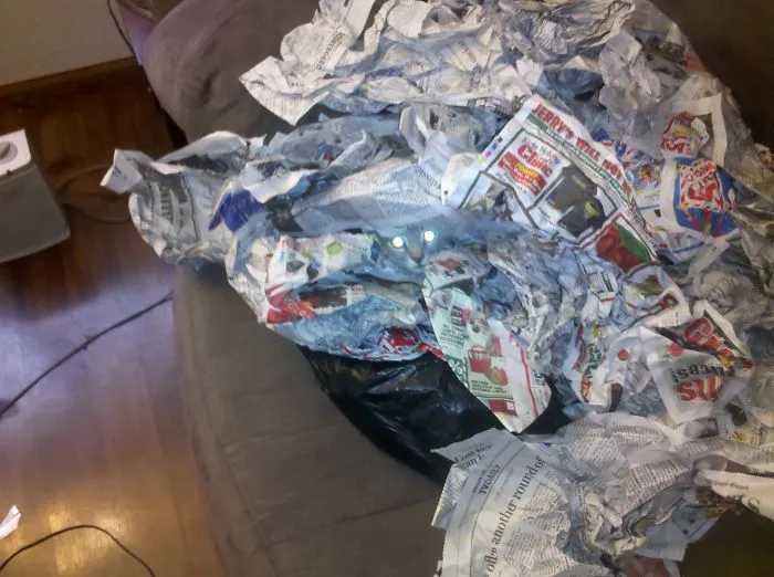 109 Camouflaged Cats That Win At Hide And Seek