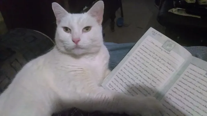 Dont Turn The Page Yet..i Not Finished!