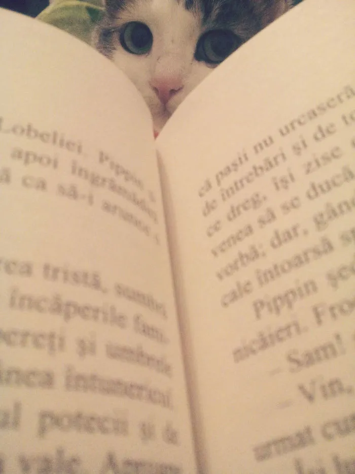 I See You!