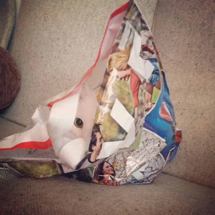 109 Camouflaged Cats That Win At Hide And Seek