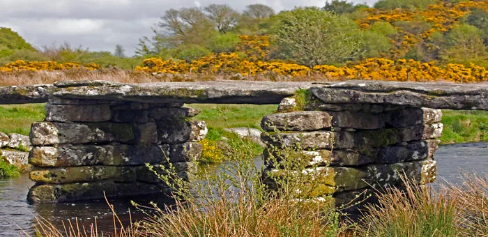 Ancient mystical stone bridge crossing a calm river surrounded by wildflowers and lush greenery in a serene landscape.